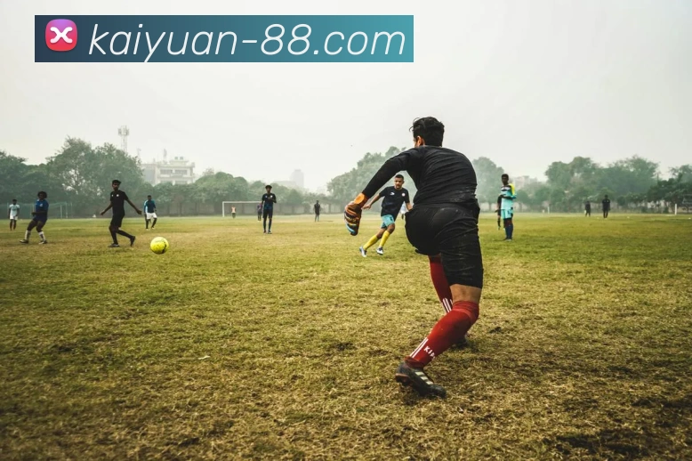 开元棋牌手机入口服务体系